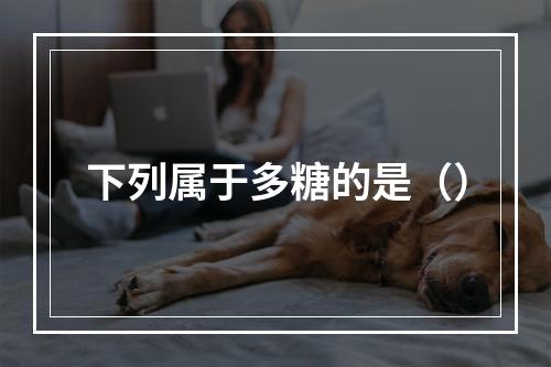 下列属于多糖的是（）