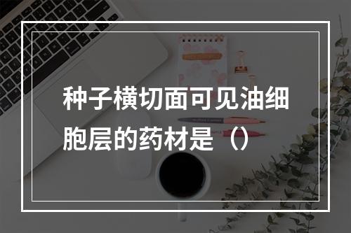 种子横切面可见油细胞层的药材是（）