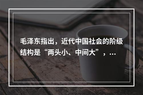 毛泽东指出，近代中国社会的阶级结构是“两头小、中间大”，其中