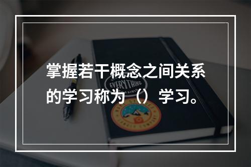 掌握若干概念之间关系的学习称为（）学习。