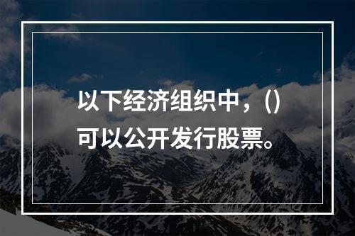 以下经济组织中，()可以公开发行股票。