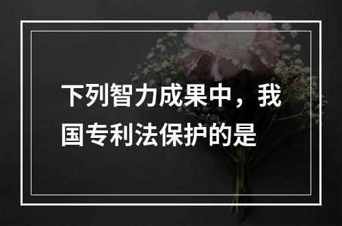 下列智力成果中，我国专利法保护的是