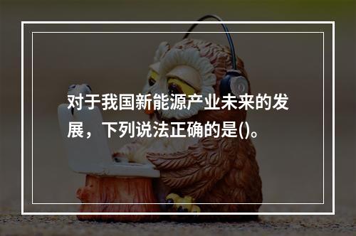 对于我国新能源产业未来的发展，下列说法正确的是()。