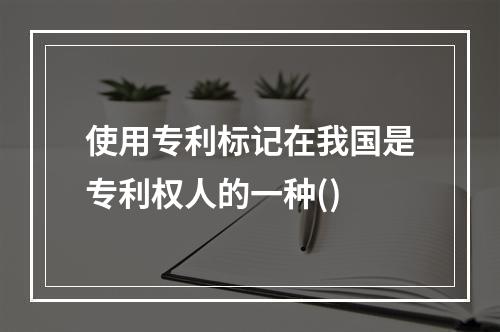 使用专利标记在我国是专利权人的一种()