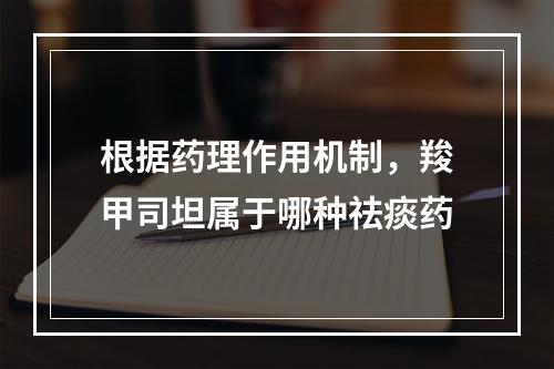 根据药理作用机制，羧甲司坦属于哪种祛痰药