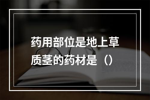 药用部位是地上草质茎的药材是（）