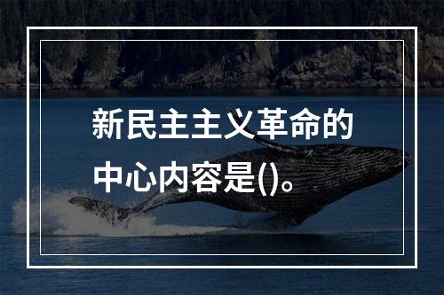 新民主主义革命的中心内容是()。