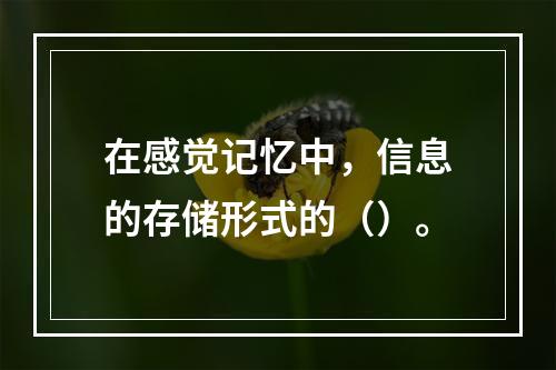 在感觉记忆中，信息的存储形式的（）。