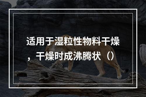 适用于湿粒性物料干燥，干燥时成沸腾状（）