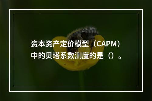 资本资产定价模型（CAPM）中的贝塔系数测度的是（）。