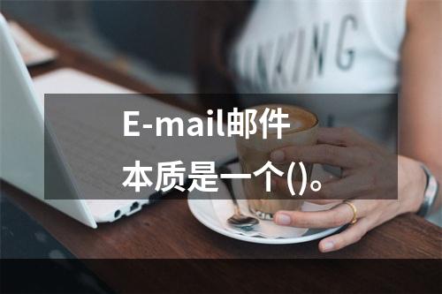 E-mail邮件本质是一个()。