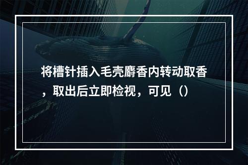 将槽针插入毛壳麝香内转动取香，取出后立即检视，可见（）