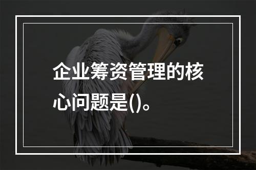 企业筹资管理的核心问题是()。