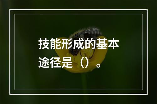 技能形成的基本途径是（）。