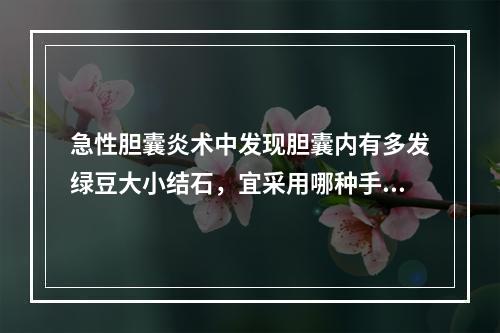 急性胆囊炎术中发现胆囊内有多发绿豆大小结石，宜采用哪种手术？