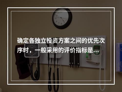 确定各独立投资方案之间的优先次序时，一般采用的评价指标是()