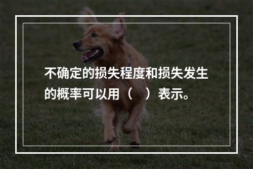 不确定的损失程度和损失发生的概率可以用（　）表示。