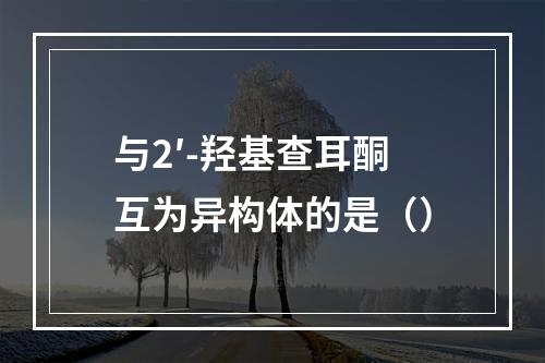 与2′-羟基查耳酮互为异构体的是（）