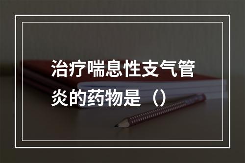 治疗喘息性支气管炎的药物是（）