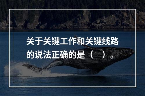 关于关键工作和关键线路的说法正确的是（　）。