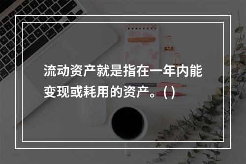 流动资产就是指在一年内能变现或耗用的资产。( )