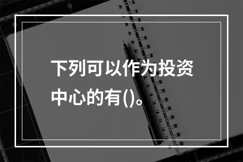 下列可以作为投资中心的有()。