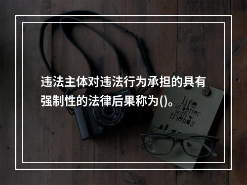 违法主体对违法行为承担的具有强制性的法律后果称为()。