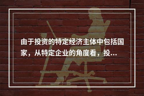 由于投资的特定经济主体中包括国家，从特定企业的角度看，投资不