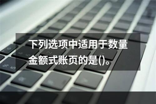 下列选项中适用于数量金额式账页的是()。