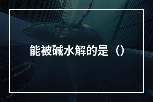 能被碱水解的是（）