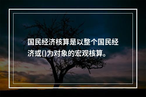 国民经济核算是以整个国民经济或()为对象的宏观核算。