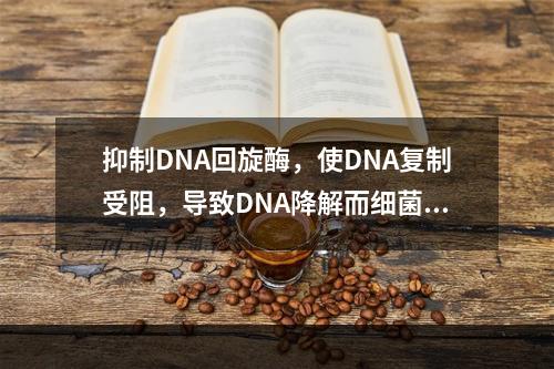 抑制DNA回旋酶，使DNA复制受阻，导致DNA降解而细菌死亡