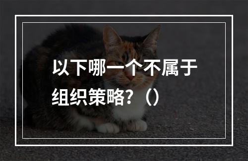 以下哪一个不属于组织策略?（）