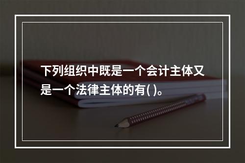 下列组织中既是一个会计主体又是一个法律主体的有( )。