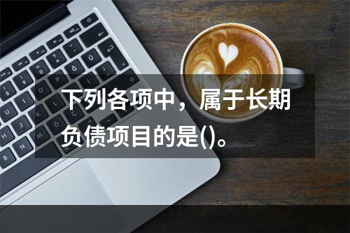 下列各项中，属于长期负债项目的是()。