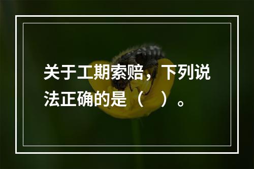 关于工期索赔，下列说法正确的是（　）。