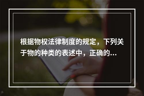 根据物权法律制度的规定，下列关于物的种类的表述中，正确的是(