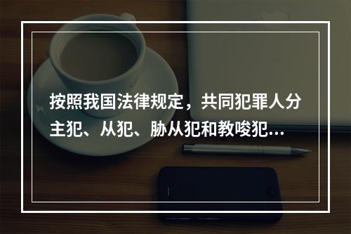 按照我国法律规定，共同犯罪人分主犯、从犯、胁从犯和教唆犯。其