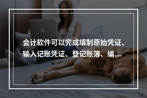 会计软件可以完成填制原始凭证、输入记账凭证、登记账簿、编制报