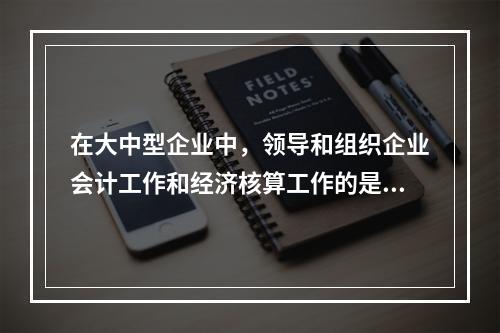 在大中型企业中，领导和组织企业会计工作和经济核算工作的是()