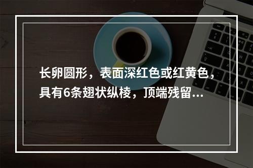 长卵圆形，表面深红色或红黄色，具有6条翅状纵棱，顶端残留萼片