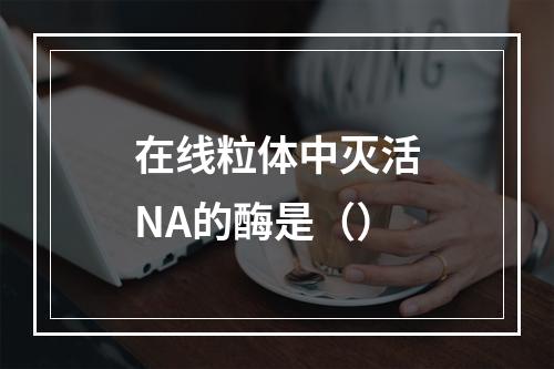 在线粒体中灭活NA的酶是（）