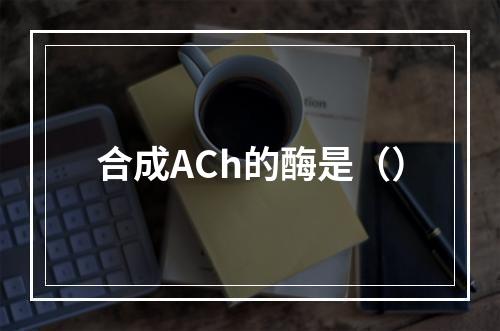 合成ACh的酶是（）