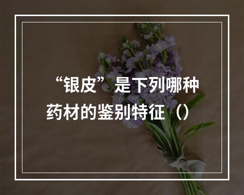 “银皮”是下列哪种药材的鉴别特征（）