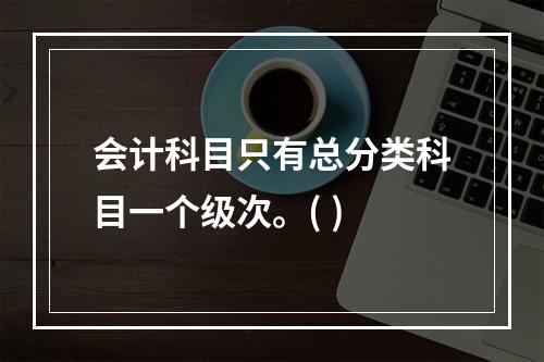 会计科目只有总分类科目一个级次。( )