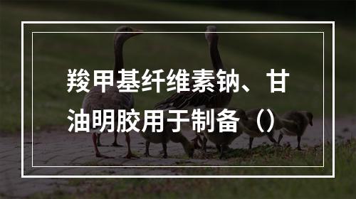 羧甲基纤维素钠、甘油明胶用于制备（）