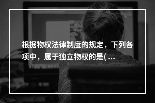 根据物权法律制度的规定，下列各项中，属于独立物权的是( )。