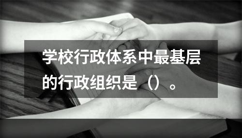 学校行政体系中最基层的行政组织是（）。