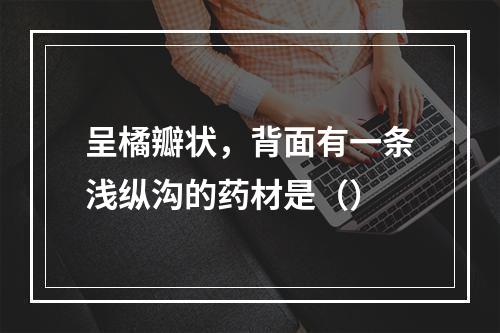 呈橘瓣状，背面有一条浅纵沟的药材是（）