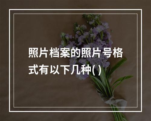 照片档案的照片号格式有以下几种( )